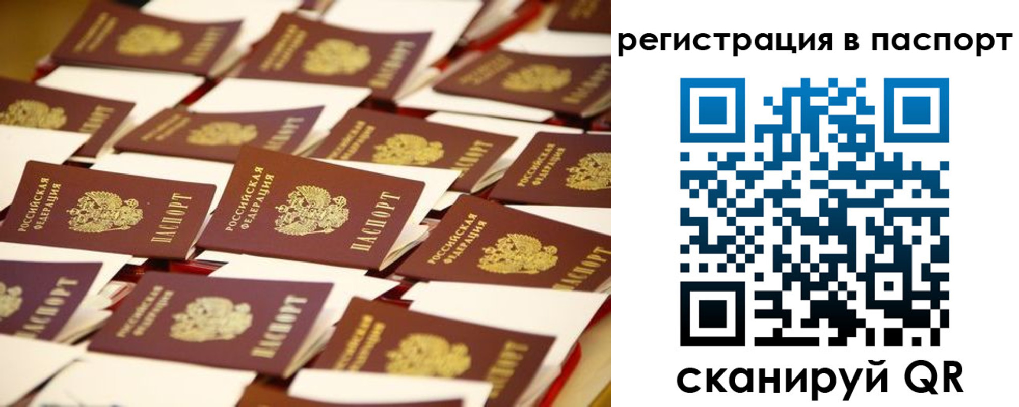 прописка гарантия в Петушках